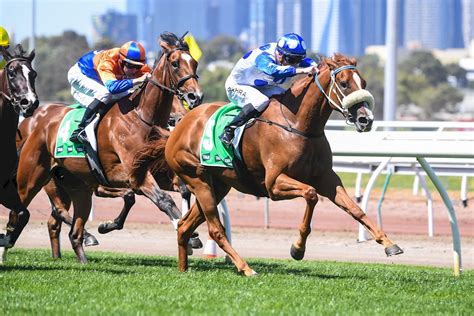 kewney stakes|A.V. Kewney Stakes Tips, Betting Odds, Past Winners and Results.